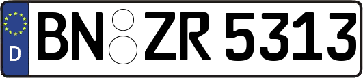 BN-ZR5313