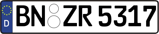BN-ZR5317