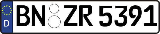BN-ZR5391