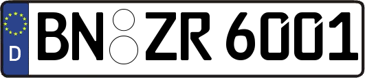 BN-ZR6001