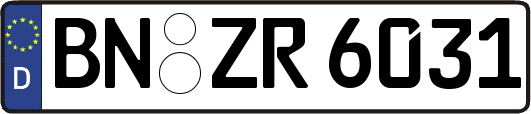 BN-ZR6031