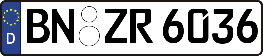 BN-ZR6036