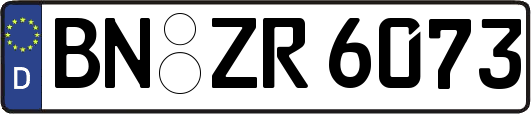 BN-ZR6073