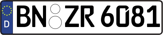 BN-ZR6081