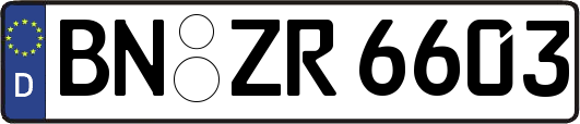 BN-ZR6603