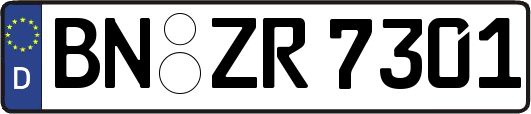 BN-ZR7301