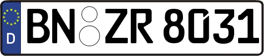 BN-ZR8031