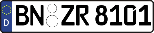 BN-ZR8101