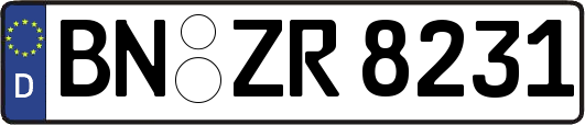 BN-ZR8231