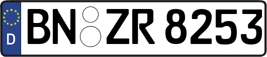BN-ZR8253