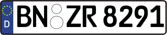 BN-ZR8291