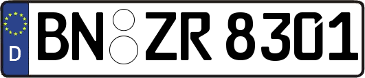 BN-ZR8301