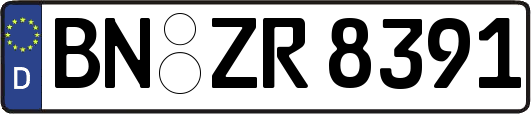 BN-ZR8391