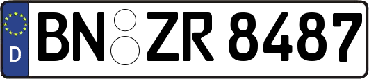 BN-ZR8487