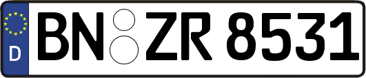 BN-ZR8531