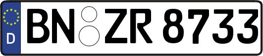 BN-ZR8733