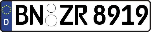 BN-ZR8919