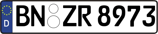 BN-ZR8973