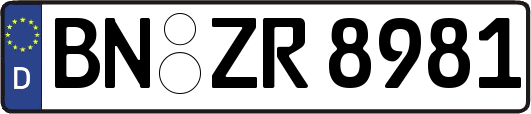 BN-ZR8981