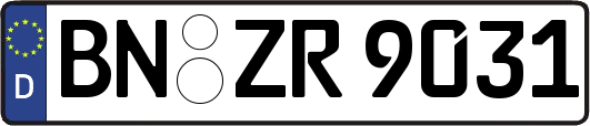 BN-ZR9031