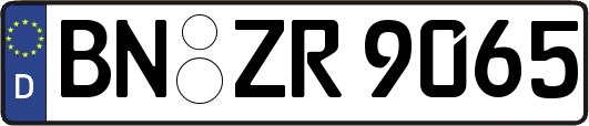 BN-ZR9065