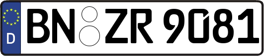 BN-ZR9081
