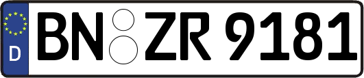 BN-ZR9181