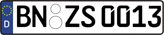 BN-ZS0013