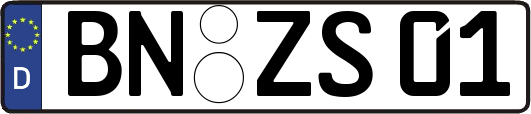 BN-ZS01