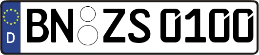 BN-ZS0100