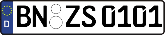 BN-ZS0101