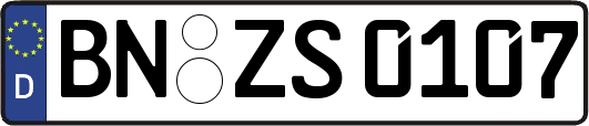 BN-ZS0107