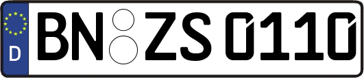 BN-ZS0110