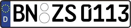 BN-ZS0113