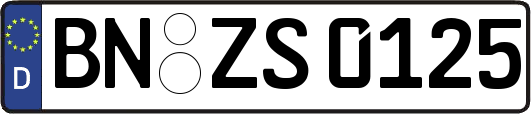 BN-ZS0125