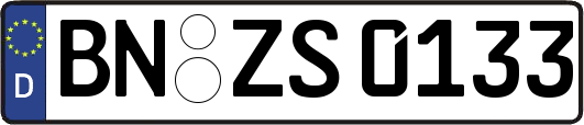 BN-ZS0133