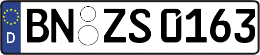 BN-ZS0163