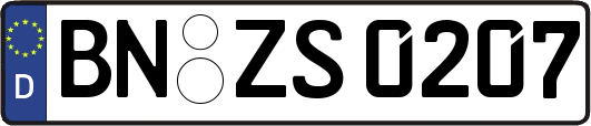 BN-ZS0207