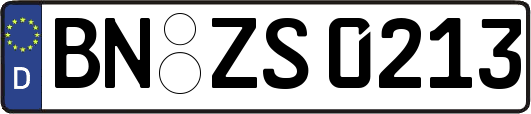 BN-ZS0213