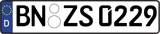 BN-ZS0229