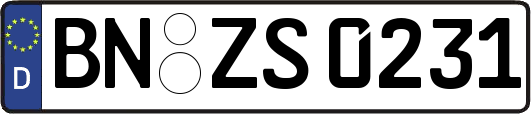 BN-ZS0231