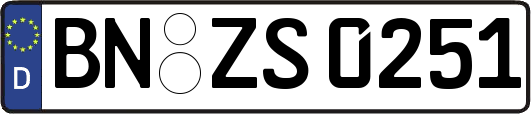 BN-ZS0251