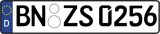 BN-ZS0256