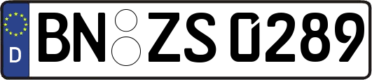 BN-ZS0289