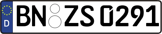 BN-ZS0291
