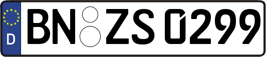 BN-ZS0299