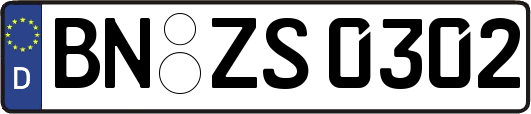 BN-ZS0302