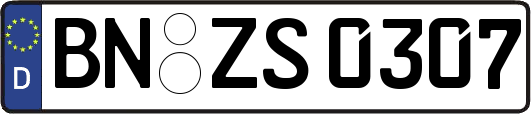 BN-ZS0307