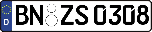 BN-ZS0308