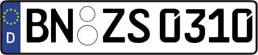 BN-ZS0310